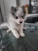 processed/dd43c957-471b-42c2-8a63-6e25aa444316/listing/f6003507-a1f7-44a2-95b9-22e2bc26f6e0/8287fc04-1d56-48d8-afd9-c42326dbe222