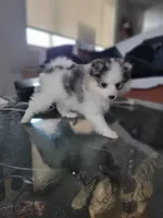 processed/dd43c957-471b-42c2-8a63-6e25aa444316/listing/f6003507-a1f7-44a2-95b9-22e2bc26f6e0/84b0cf4c-18f6-4007-8da6-326a2dc9ea53