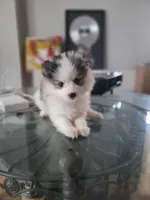 processed/dd43c957-471b-42c2-8a63-6e25aa444316/listing/f6003507-a1f7-44a2-95b9-22e2bc26f6e0/92e89160-2447-460b-94fe-52767c1f6f2b