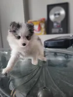 processed/dd43c957-471b-42c2-8a63-6e25aa444316/listing/f6003507-a1f7-44a2-95b9-22e2bc26f6e0/98297877-631d-4b24-8365-252b6a9ab46c