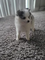 processed/dd43c957-471b-42c2-8a63-6e25aa444316/listing/f6003507-a1f7-44a2-95b9-22e2bc26f6e0/9d90e4c3-a150-4729-a47d-eb719a8f1e55