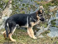 processed/dd46eaed-5da4-42ee-b987-c0f141abb196/listing/e38d8465-1251-4965-84c9-03c80d5b2142/0f57d39b-5dbf-4f9e-8f0d-56f7a8a9a844