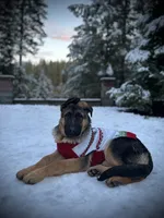 processed/dd46eaed-5da4-42ee-b987-c0f141abb196/listing/e38d8465-1251-4965-84c9-03c80d5b2142/8a839745-139c-4e02-b6e3-3b80c2c567b4