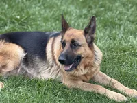 processed/dd46eaed-5da4-42ee-b987-c0f141abb196/listing/e38d8465-1251-4965-84c9-03c80d5b2142/990fcf62-f604-4bcd-98f7-6c02fd2b7519