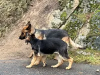 processed/dd46eaed-5da4-42ee-b987-c0f141abb196/listing/e38d8465-1251-4965-84c9-03c80d5b2142/ddc67e63-c415-4b75-a78d-ea07c32b0b11