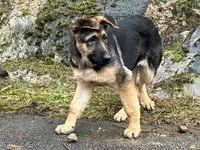 processed/dd46eaed-5da4-42ee-b987-c0f141abb196/listing/e38d8465-1251-4965-84c9-03c80d5b2142/de5cb213-106d-42db-883c-481f4a2e3ba1