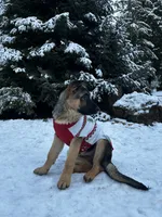 processed/dd46eaed-5da4-42ee-b987-c0f141abb196/listing/e38d8465-1251-4965-84c9-03c80d5b2142/e22684e1-4eeb-4370-9be6-6c0e96d1595d