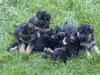 processed/dd46eaed-5da4-42ee-b987-c0f141abb196/listing/e38d8465-1251-4965-84c9-03c80d5b2142/e94fdda7-f809-4f05-8e31-87d4676db997