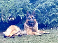 processed/dd46eaed-5da4-42ee-b987-c0f141abb196/listing/e38d8465-1251-4965-84c9-03c80d5b2142/f8e6ec67-23b0-4739-9ede-0943abf61b2a