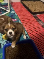 processed/dd4d23bc-af5f-4da4-bd84-79e00591f29c/facility/7b12cb43-4394-4751-ac05-9e21ce020de5