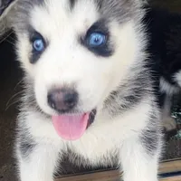 processed/dd5237d6-8cac-47b9-a7f8-86c17c0293be/facility/37745518-a454-4062-a549-9067c02515b3