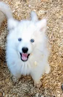 processed/dd5237d6-8cac-47b9-a7f8-86c17c0293be/listing/0714c031-c5d9-47c7-a87d-389b5d0acc2b/2d1bcd75-7496-428a-86e4-80929ded722d