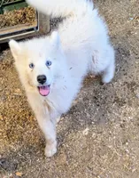 processed/dd5237d6-8cac-47b9-a7f8-86c17c0293be/listing/0714c031-c5d9-47c7-a87d-389b5d0acc2b/330284b6-083a-4406-8d98-7de7a39906ae