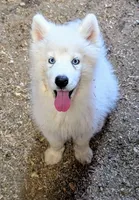 processed/dd5237d6-8cac-47b9-a7f8-86c17c0293be/listing/0714c031-c5d9-47c7-a87d-389b5d0acc2b/d0fe6eac-35e4-400e-b2ba-2b7e9185232b