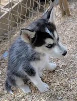 processed/dd5237d6-8cac-47b9-a7f8-86c17c0293be/listing/0eae545f-f7bd-4b63-9511-aa2940113a7a/177d62a0-c1e6-4fe3-b413-3282528b8fd9