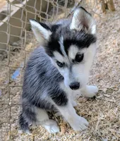 processed/dd5237d6-8cac-47b9-a7f8-86c17c0293be/listing/0eae545f-f7bd-4b63-9511-aa2940113a7a/2e2e974f-e2c0-40dc-bbb1-30241941dfdf