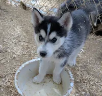 processed/dd5237d6-8cac-47b9-a7f8-86c17c0293be/listing/0eae545f-f7bd-4b63-9511-aa2940113a7a/c51e4f2f-ef4a-4b97-90ee-5d811bb649f9