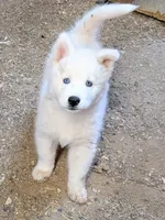 processed/dd5237d6-8cac-47b9-a7f8-86c17c0293be/listing/24961383-902a-4472-b087-6bdebbc96f08/913bb78f-e1d8-4539-bc14-1b255c33ea34