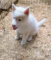 processed/dd5237d6-8cac-47b9-a7f8-86c17c0293be/listing/28264628-b0cb-4915-9035-2ebaac56ae0c/866228c1-af3f-4fe3-8328-51424a4fe5f8