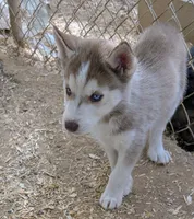 processed/dd5237d6-8cac-47b9-a7f8-86c17c0293be/listing/3ef566bf-4883-46db-8858-ee7ee00aa863/990aef81-d7d6-46b8-8bc6-b38731074942