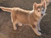 processed/dd5237d6-8cac-47b9-a7f8-86c17c0293be/listing/56fabbfd-0f73-43a1-9dfe-9d895c52c1b7/2207a32e-c6d8-4dd2-b4d5-dd03550ddbe0