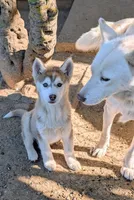 processed/dd5237d6-8cac-47b9-a7f8-86c17c0293be/listing/56fabbfd-0f73-43a1-9dfe-9d895c52c1b7/2ba9a6e7-e829-43cf-95a3-cbeec6d6ee66