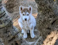 processed/dd5237d6-8cac-47b9-a7f8-86c17c0293be/listing/56fabbfd-0f73-43a1-9dfe-9d895c52c1b7/395b8ae0-7bf9-4dde-bc67-dd61d40fcce3