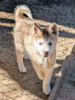 processed/dd5237d6-8cac-47b9-a7f8-86c17c0293be/listing/8fc6b09a-33fb-45db-b62e-8327181d677a/2562d036-d3b2-47ce-8301-976c98f9ee6f