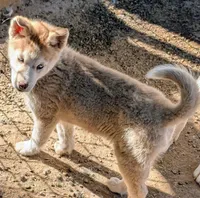 processed/dd5237d6-8cac-47b9-a7f8-86c17c0293be/listing/8fc6b09a-33fb-45db-b62e-8327181d677a/85d59657-209e-4ad9-8814-0623c816945b