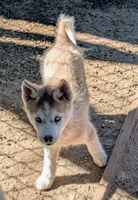 processed/dd5237d6-8cac-47b9-a7f8-86c17c0293be/listing/8fc6b09a-33fb-45db-b62e-8327181d677a/a1c43acd-7035-4740-bbc3-01036541bf53