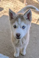 processed/dd5237d6-8cac-47b9-a7f8-86c17c0293be/listing/8fc6b09a-33fb-45db-b62e-8327181d677a/fb0047b3-d08d-4c19-91ea-94289c0fae9c