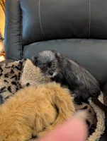 processed/dd5237d6-8cac-47b9-a7f8-86c17c0293be/listing/a879fdb8-a8b9-431d-a5cc-8b022023ab88/0a5a7815-4e3a-4e78-a49f-e79309354e8d