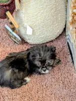 processed/dd5237d6-8cac-47b9-a7f8-86c17c0293be/listing/a879fdb8-a8b9-431d-a5cc-8b022023ab88/754c71c4-cede-4703-be0b-022a840cb341