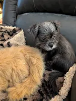 processed/dd5237d6-8cac-47b9-a7f8-86c17c0293be/listing/a879fdb8-a8b9-431d-a5cc-8b022023ab88/957a2938-bac1-4a59-be9f-dab91e611b60