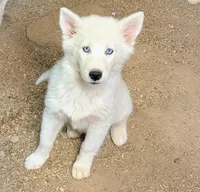 processed/dd5237d6-8cac-47b9-a7f8-86c17c0293be/listing/bf52a711-4cce-474e-b6a4-1d75b5c453a0/0e7502f1-19dc-4178-9c9d-b8ffd0dbbfcc