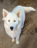 processed/dd5237d6-8cac-47b9-a7f8-86c17c0293be/listing/bf52a711-4cce-474e-b6a4-1d75b5c453a0/3b19fcbb-a2d6-4e07-bf83-909c719e8ccf