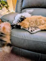 processed/dd5237d6-8cac-47b9-a7f8-86c17c0293be/listing/d9feffd6-e96a-46a0-8134-d039406a25eb/79531820-2a59-48b9-97e6-7482d569eb1b