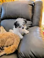 processed/dd5237d6-8cac-47b9-a7f8-86c17c0293be/listing/d9feffd6-e96a-46a0-8134-d039406a25eb/90edea4e-f277-4446-8144-de8d7a8711f4