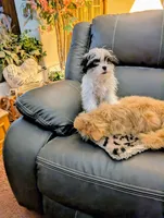 processed/dd5237d6-8cac-47b9-a7f8-86c17c0293be/listing/d9feffd6-e96a-46a0-8134-d039406a25eb/b46e6b3d-4a5e-4e4f-988e-51e23e963121