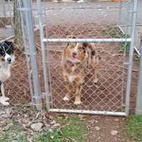 processed/dd597b3f-7bfa-4452-a9b3-67f6b9b1f6b8/facility/e28ae9e0-1022-435c-afc0-a2840afc4813