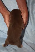 processed/dd597b3f-7bfa-4452-a9b3-67f6b9b1f6b8/listing/2f00461b-e26b-45b7-bfa5-a37875f6da83/5474930f-41e5-4b1f-9796-600f5cec4008