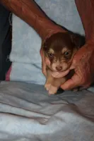 processed/dd597b3f-7bfa-4452-a9b3-67f6b9b1f6b8/listing/2f00461b-e26b-45b7-bfa5-a37875f6da83/58551943-9c40-4aae-9bbd-0df18814bf5c