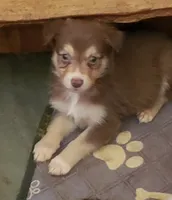 processed/dd597b3f-7bfa-4452-a9b3-67f6b9b1f6b8/listing/2f00461b-e26b-45b7-bfa5-a37875f6da83/c6bd8b76-c9c8-4ea7-98c8-07b76d28f9c6