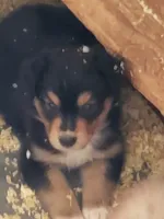 processed/dd597b3f-7bfa-4452-a9b3-67f6b9b1f6b8/listing/a1504772-e8ae-4a56-870a-360a15c1b990/31138321-e28d-4295-9978-b270e12ec386