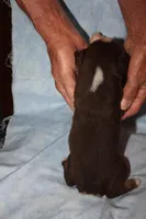 processed/dd597b3f-7bfa-4452-a9b3-67f6b9b1f6b8/listing/cc752dc1-bd81-47b6-b805-4d5ef2f505c4/432d8297-6a6f-4aa0-b23b-cd6ebe08f68e