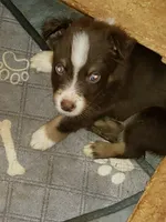 processed/dd597b3f-7bfa-4452-a9b3-67f6b9b1f6b8/listing/cc752dc1-bd81-47b6-b805-4d5ef2f505c4/524ef2b6-3eef-4233-83ef-715fdc8f9f84