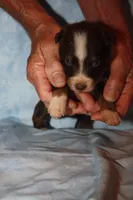 processed/dd597b3f-7bfa-4452-a9b3-67f6b9b1f6b8/listing/cc752dc1-bd81-47b6-b805-4d5ef2f505c4/e43d3e29-ce37-4ee9-a32c-0bc6b2401dfd