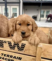 processed/dd63857e-b8ab-4d08-a8ff-901c4ca3ad13/facility/5ae97228-383a-49a4-a35f-4375cdd54a1d