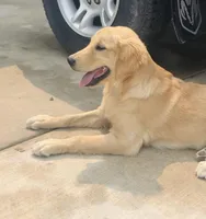 processed/dd63857e-b8ab-4d08-a8ff-901c4ca3ad13/facility/b5e4149f-a33e-43c7-8941-06353aad910d