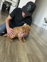 processed/dd63857e-b8ab-4d08-a8ff-901c4ca3ad13/facility/e5a21708-9fe3-498b-98d8-efb7711c3dff